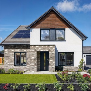 OMNIA House Exterior Windows and Door web.jpg